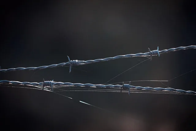 barbed wire, jail, fence, security, barrier, to back up, protection, metal, sharp, dangerous, escape, obstacle. Sektorsprognoser för svenska verksamheter: underlag och metod